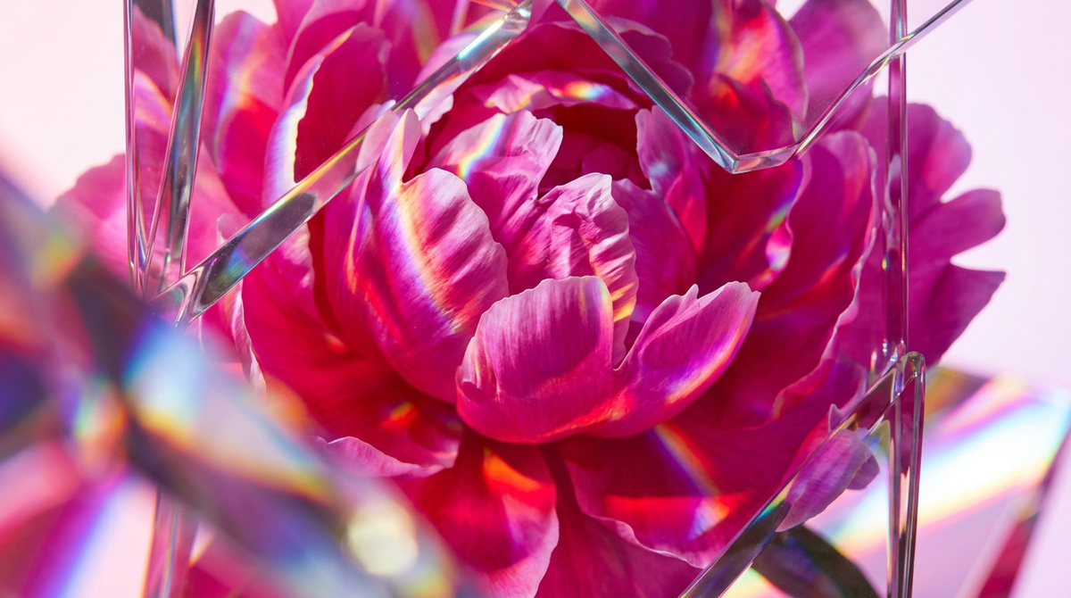 What Does Peony Smell Like?