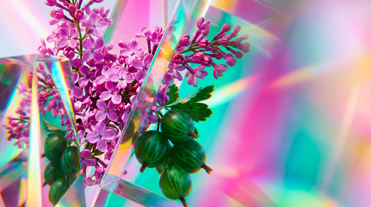 When to Wear Lilacs & Gooseberries: The Perfect Occasions Explored