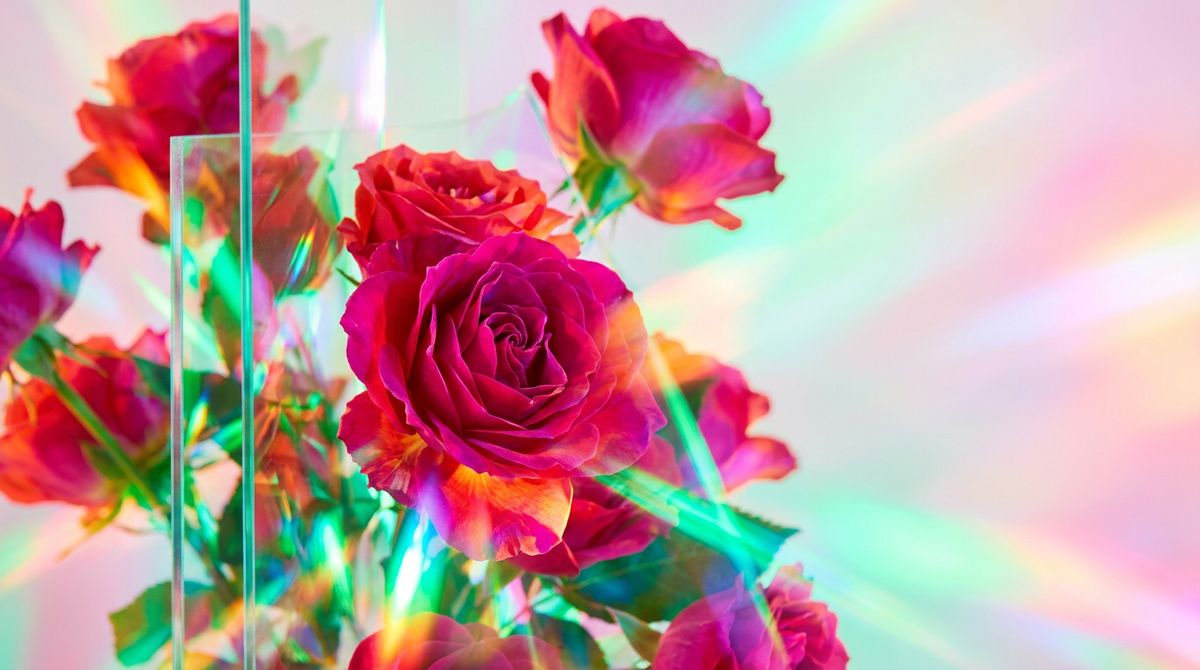 Is Wild Roses Fragrance 10ml Suitable for Sensitive Skin?