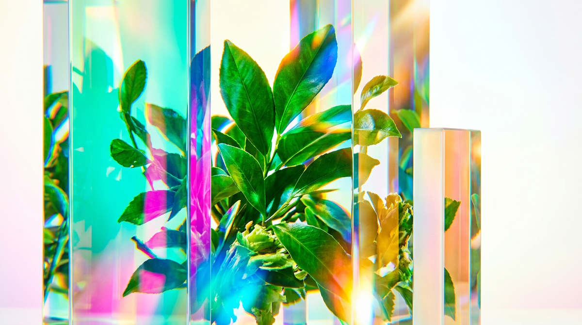 How Long Does A Juicy, Green Brightness That Feels Clean, Alive, And Spontaneous Last?