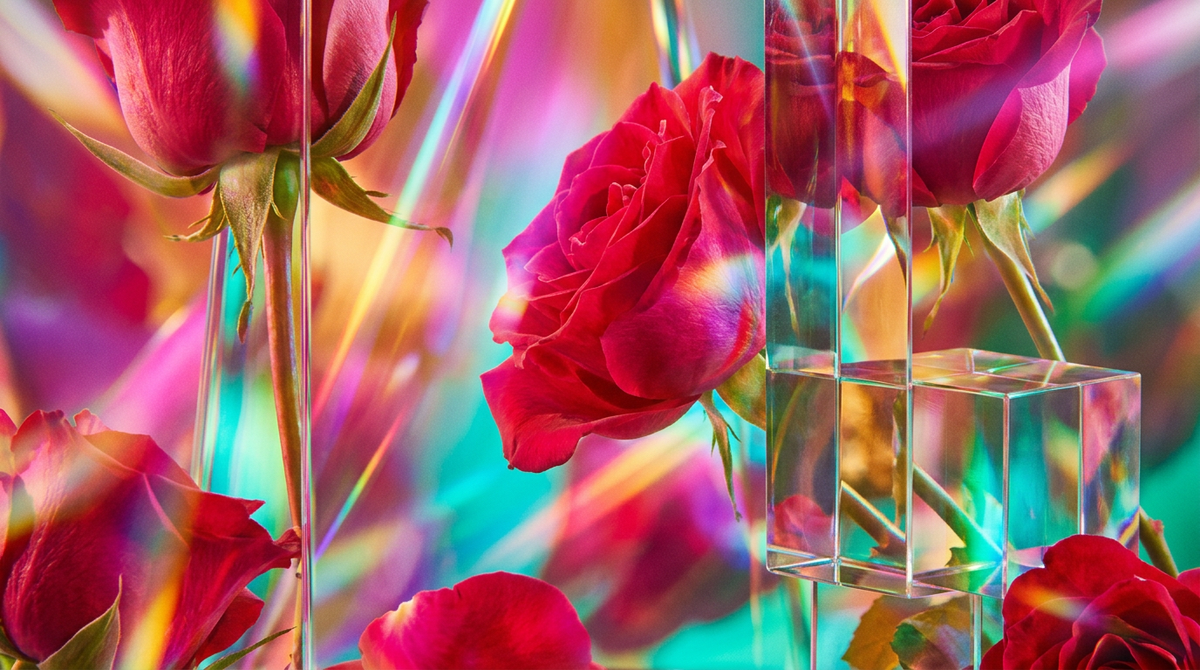 Wild Roses Eau de Parfum vs. Jo Malone Red Roses: A Fragrant Showdown