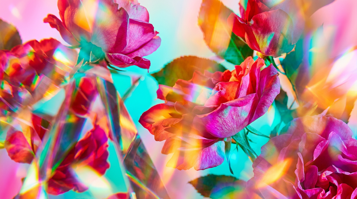 How To Layer Wild Roses With Other Fragrances