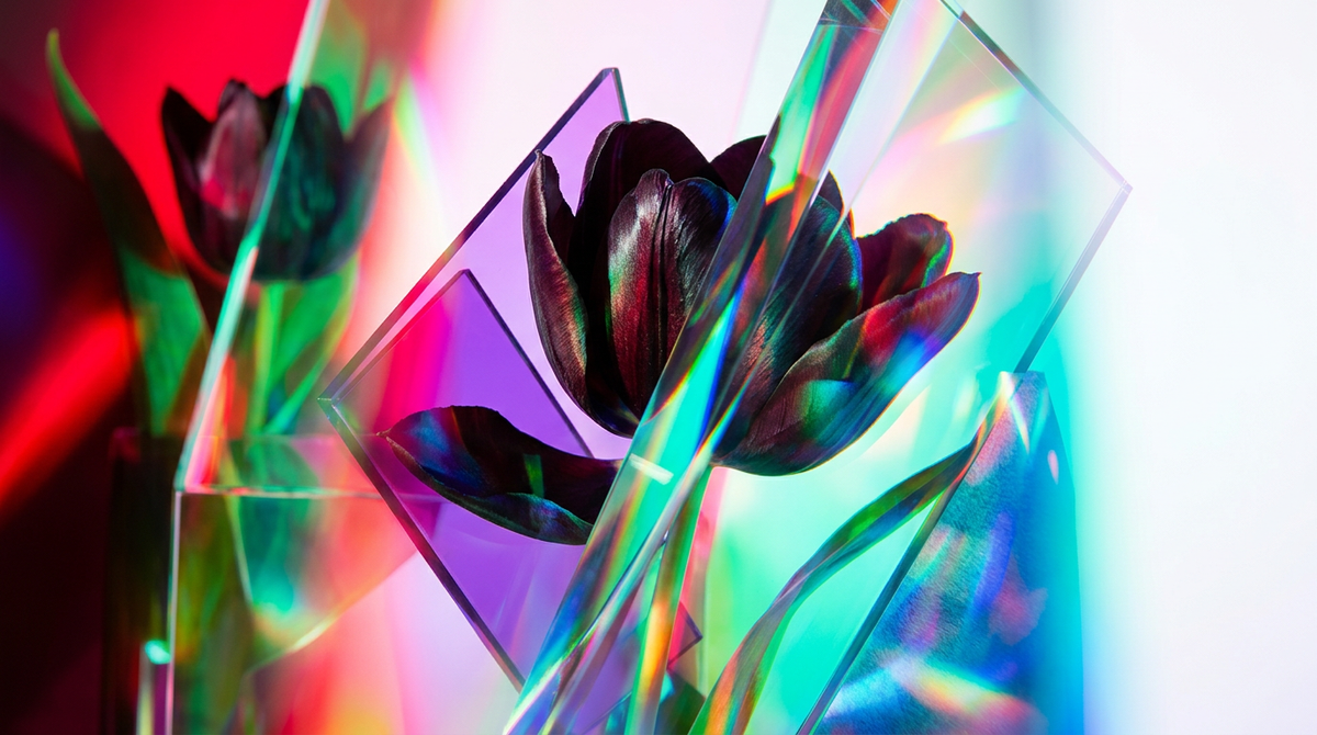 Black Tulip Fragrance 100ml vs Shay & Blue Violet Tabac