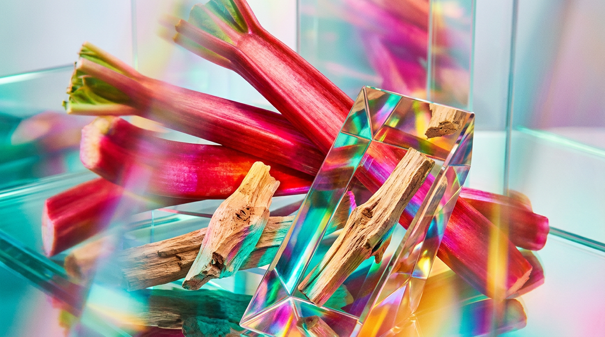 How Long Does Rhubarb Sandalwood Fragrance Last?