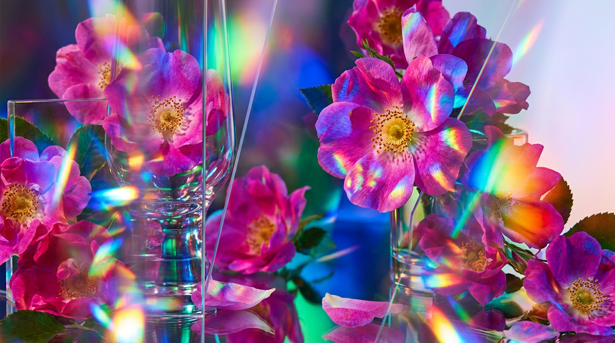 Is Wild Roses Fragrance 10ml Suitable for Sensitive Skin?
