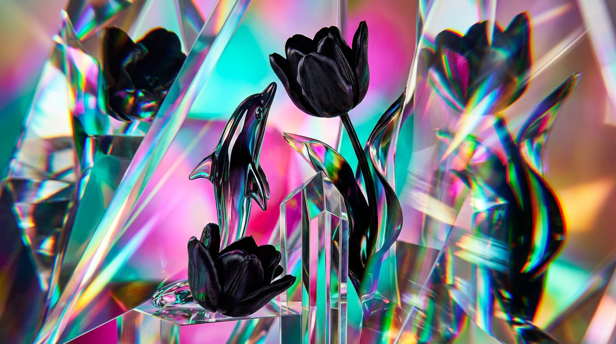 Black Tulip Fragrance 100ml vs Creed Delphinus