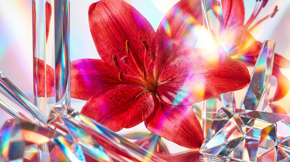 What Does Scarlet Lily Smell Like?