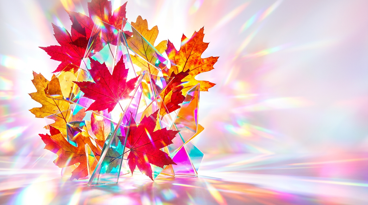 Best Perfumes for Crisp Autumn Days