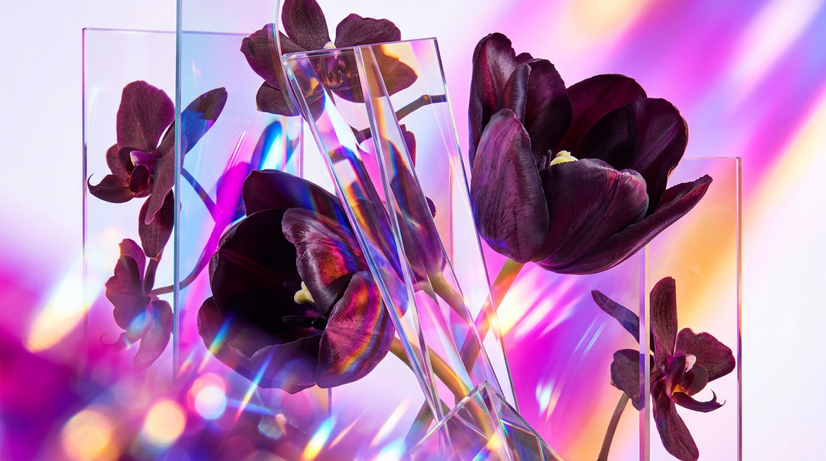 Black Tulip Fragrance 10ml vs. Tom Ford Black Orchid