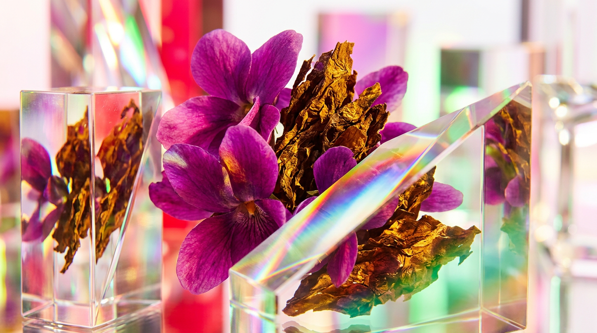 How Long Does Violet Tabac Fragrance Noir Last?