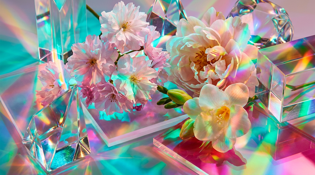 Best Light Floral Perfumes for Spring Awakening