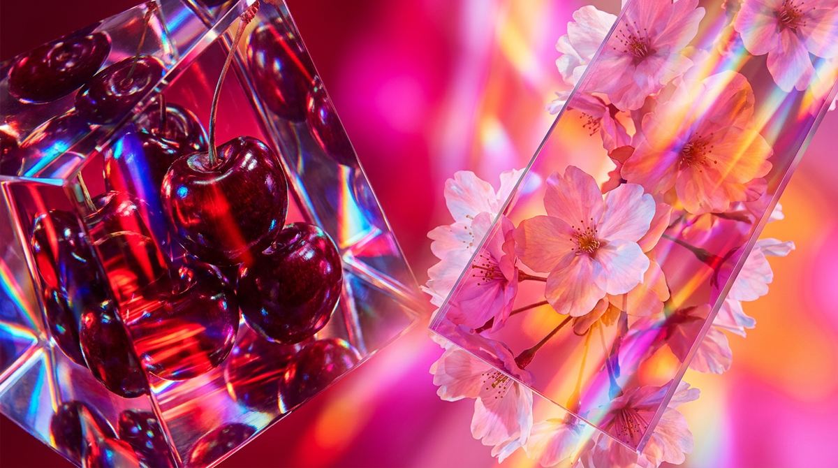 Black Cherry vs. English Cherry Blossom: A Fragrance Comparison