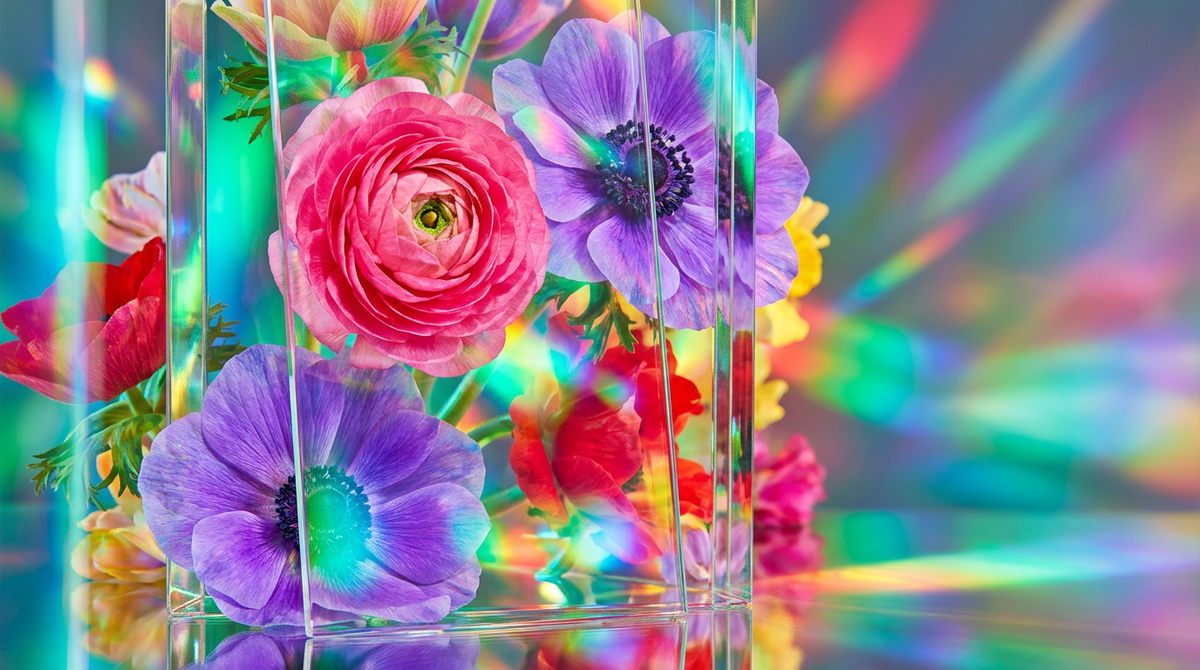 Best Perfumes for a Blooming Spring Awakening