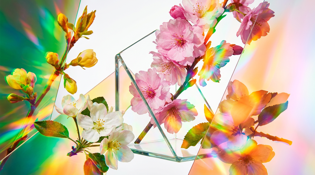 Best Perfumes for Spring Awakening and Blooming Season