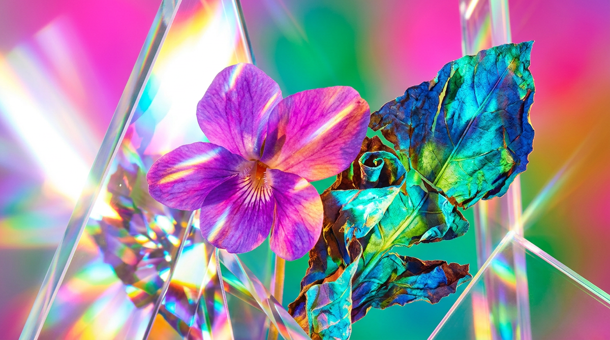 Is Violet Tabac Fragrance Noir Good for Creative Inspiration?