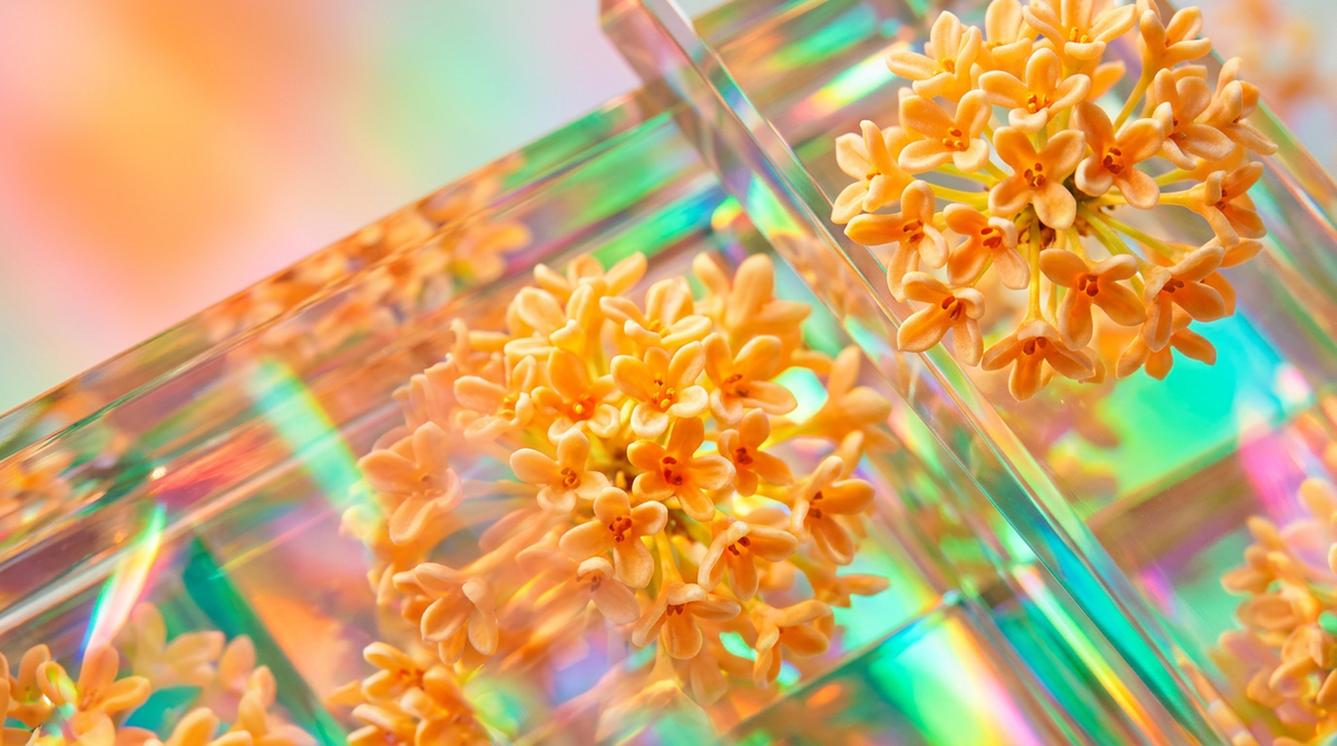 What Does Osmanthus Smell Like?