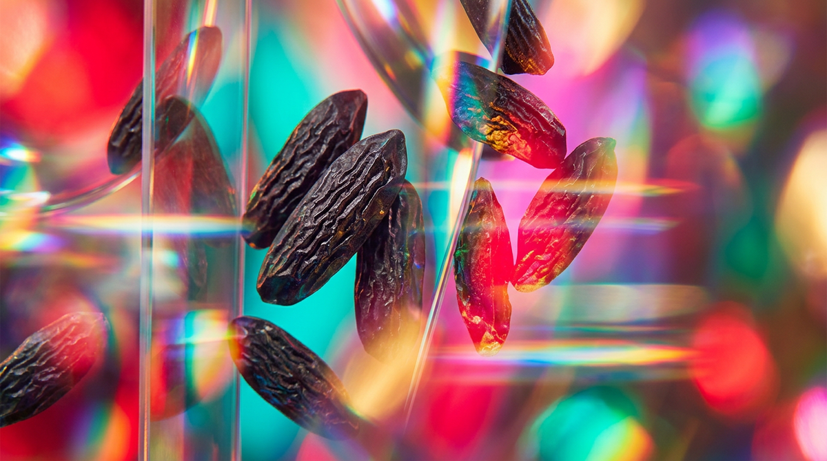 Tonka Bean