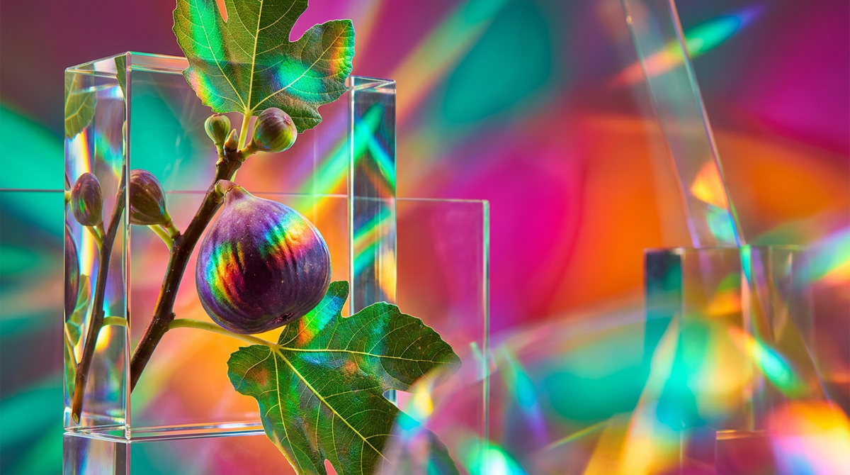 The Complete Guide to Fig Fragrances