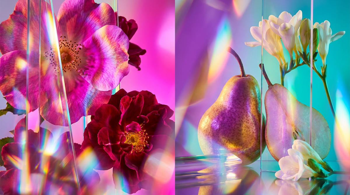Jo Malone English Pear & Freesia vs. Jo Malone Wild Roses: Which Blooming Scent is Best?