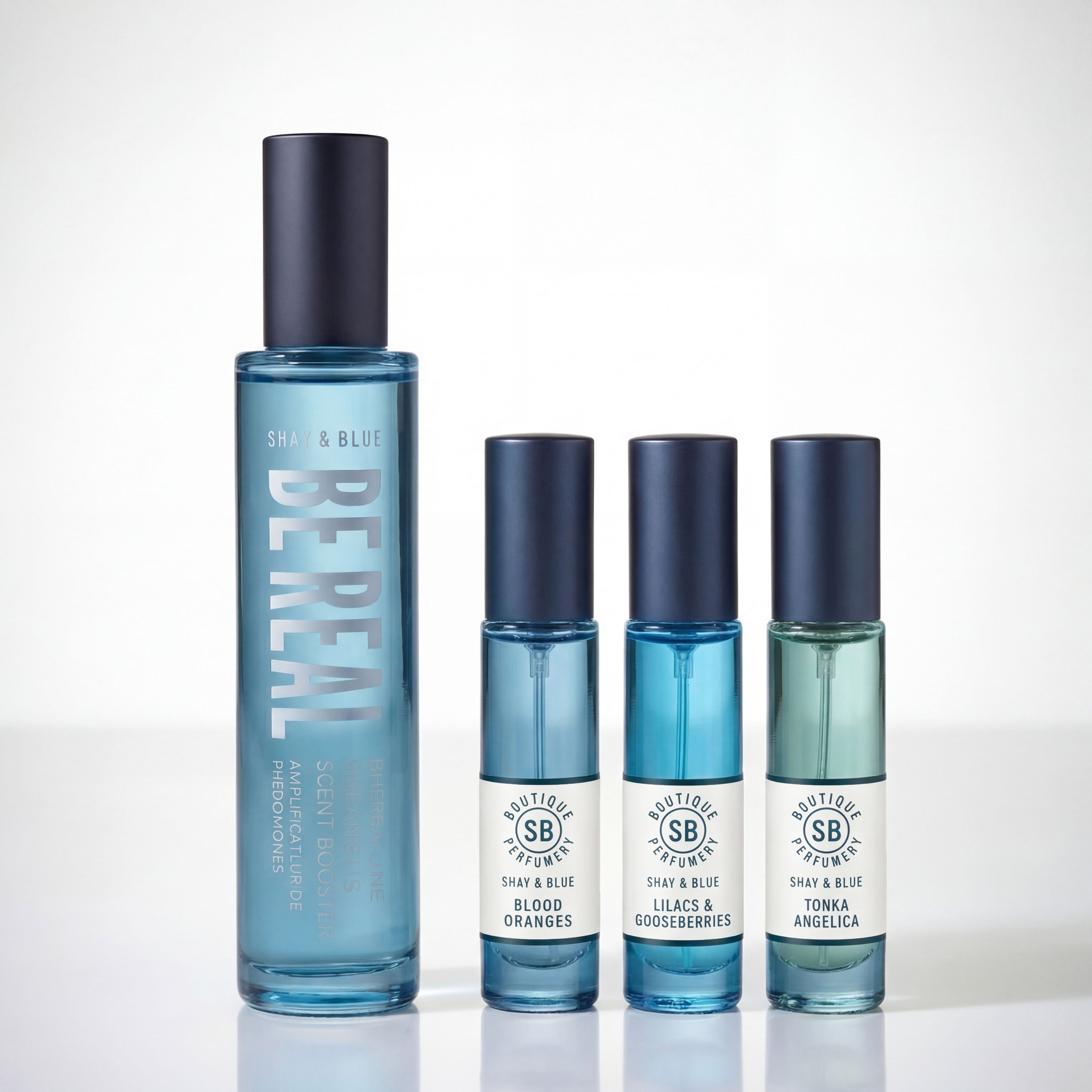 The Scent Selections Routine