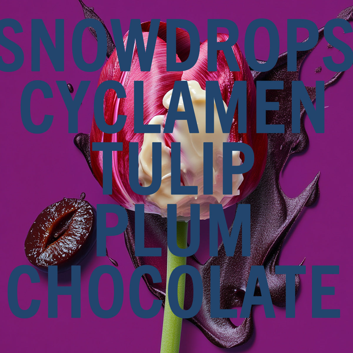 Black Tulip Fragrance 100ml