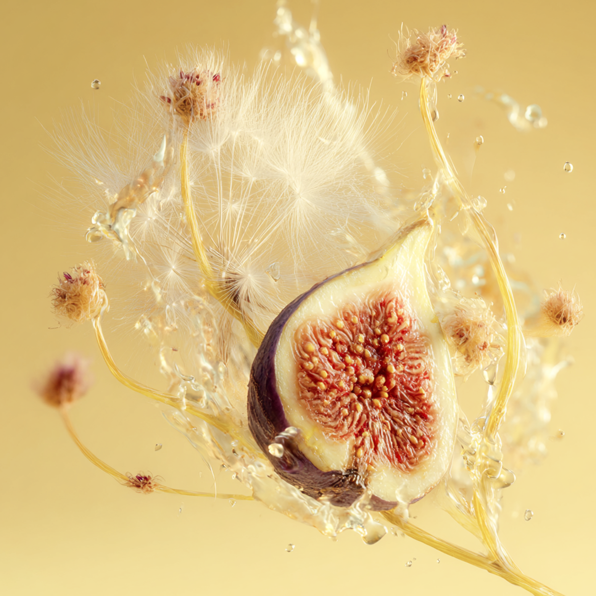 Dandelion Fig Fragrance 10ml