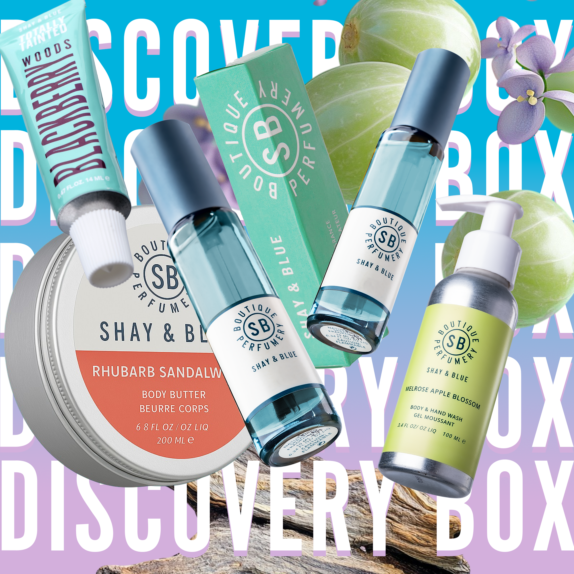 Discovery Box