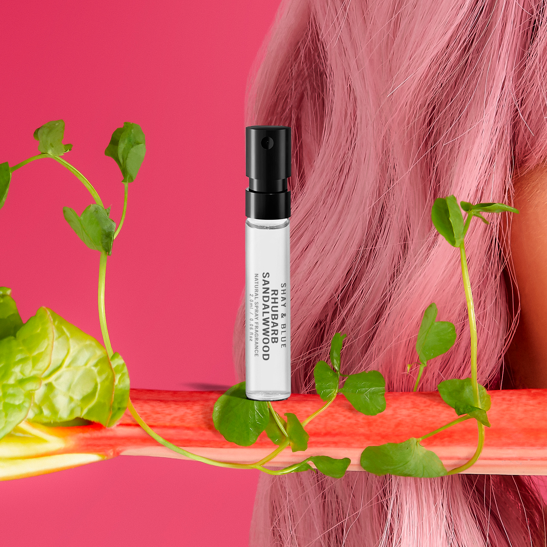 Rhubarb Sandalwood Sample