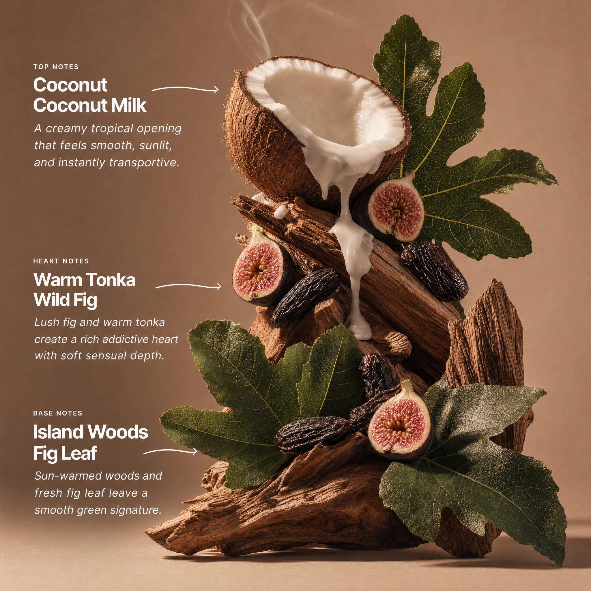 Coconut Fig Leaf Perfume 100ml