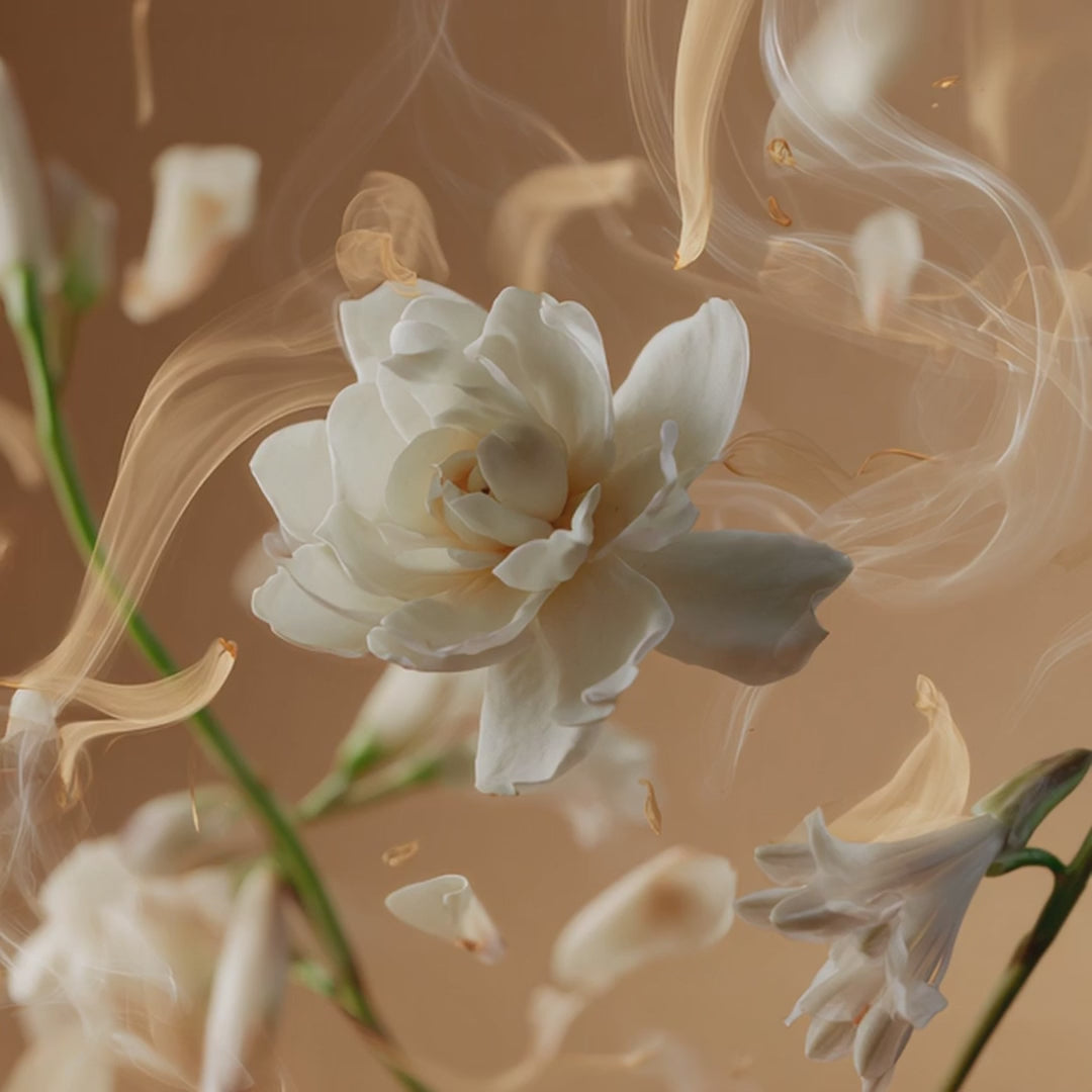 Tallulahs Camellia Fragrance 10ml