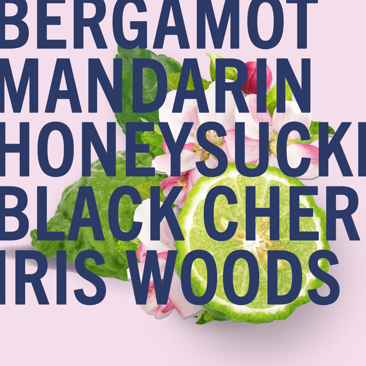 English Cherry Blossom Sample