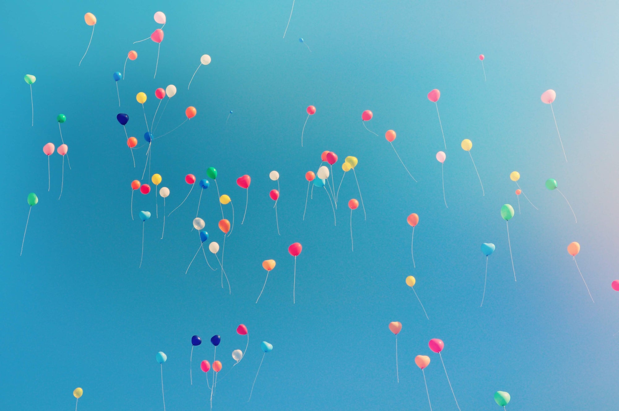 TEN YEARS OF SHAY & BLUE