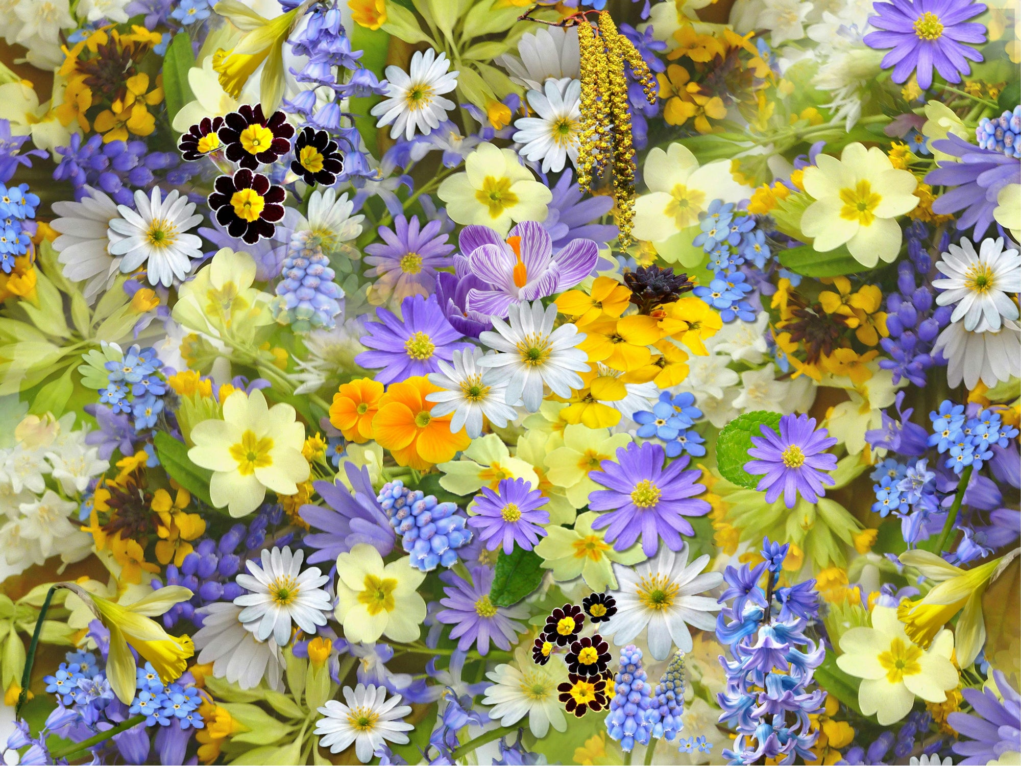 best floral perfumes