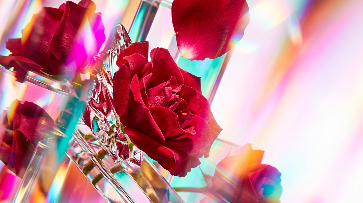 Wild Roses Eau de Parfum vs. Jo Malone Red Roses: A Floral Face-Off
