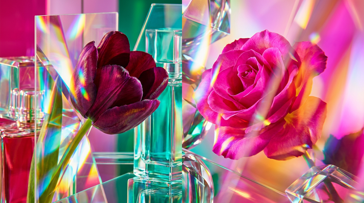 Black Tulip Fragrance 100ml vs Diptyque Eau Rose