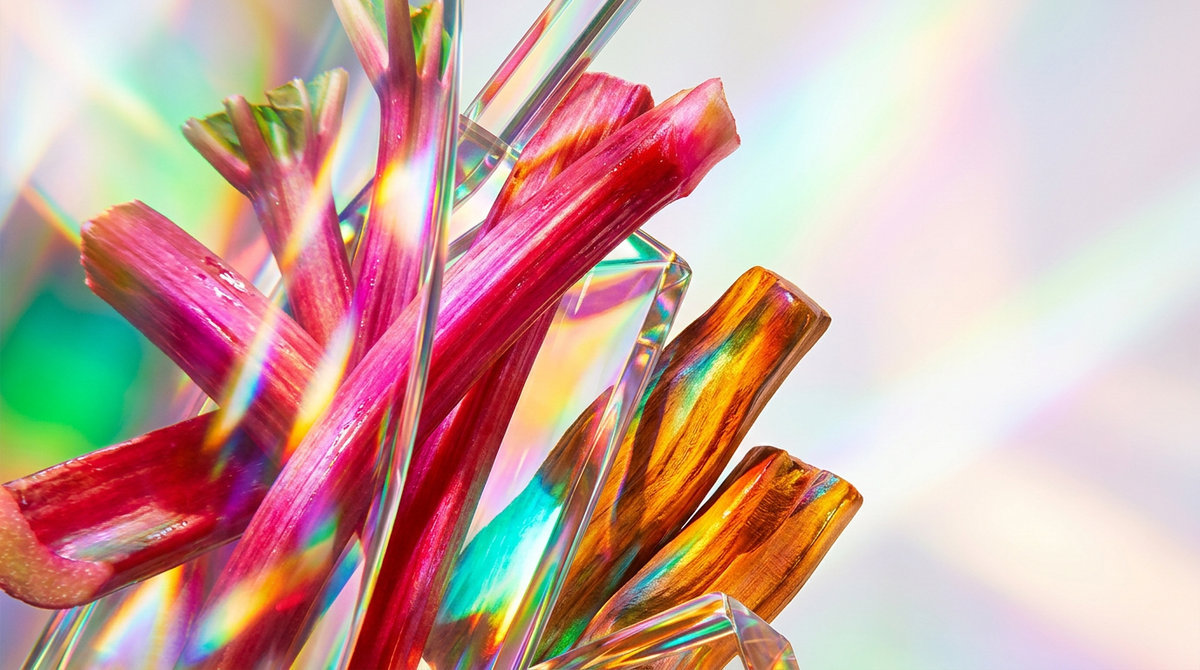 Best Rhubarb Sandalwood Fragrance for Gifting