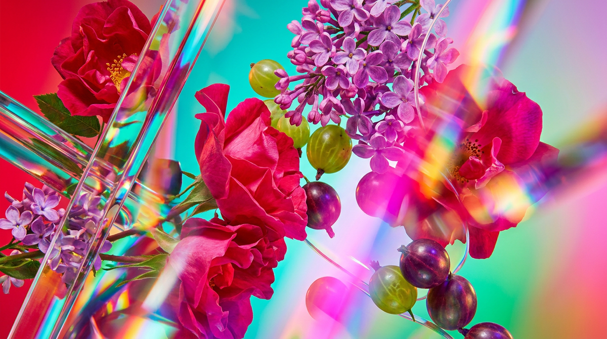 Wild Roses 10ml vs. Lilacs & Gooseberries 10ml: Which Fragrance is Right for You?