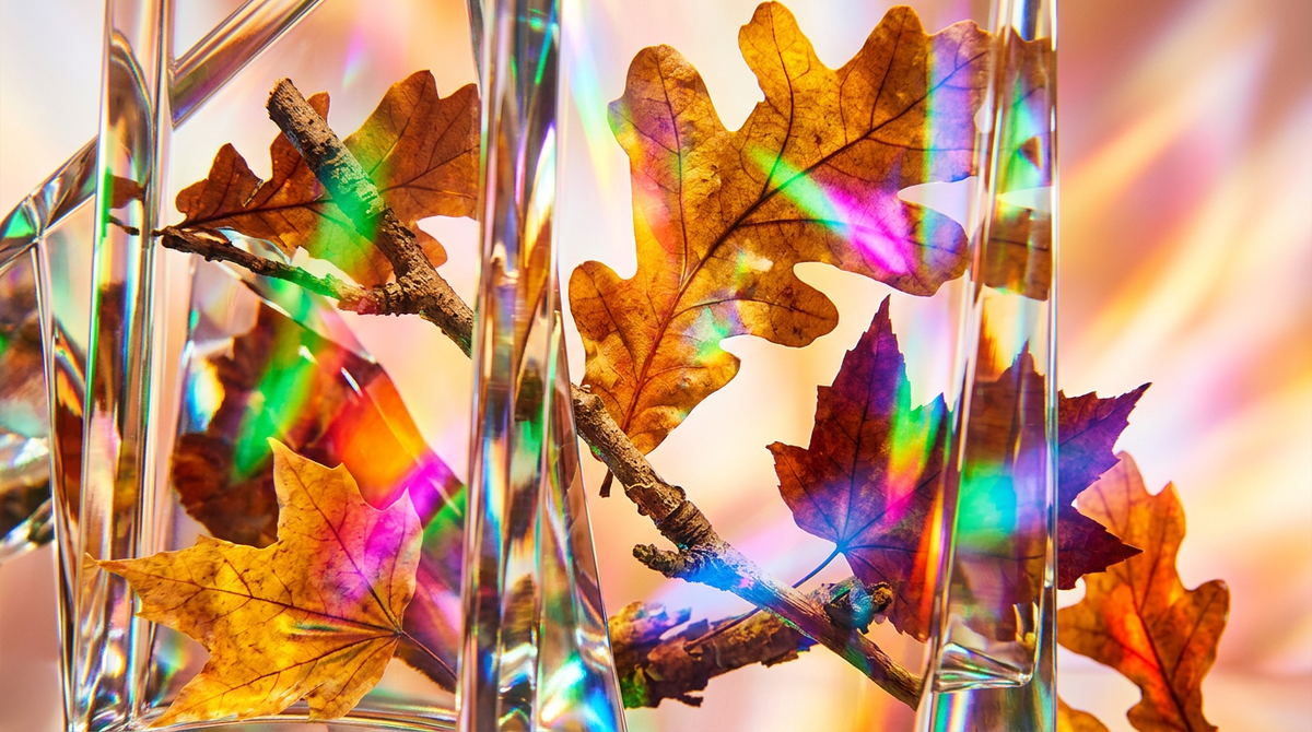 Best Fragrances for a Crisp Autumn Day