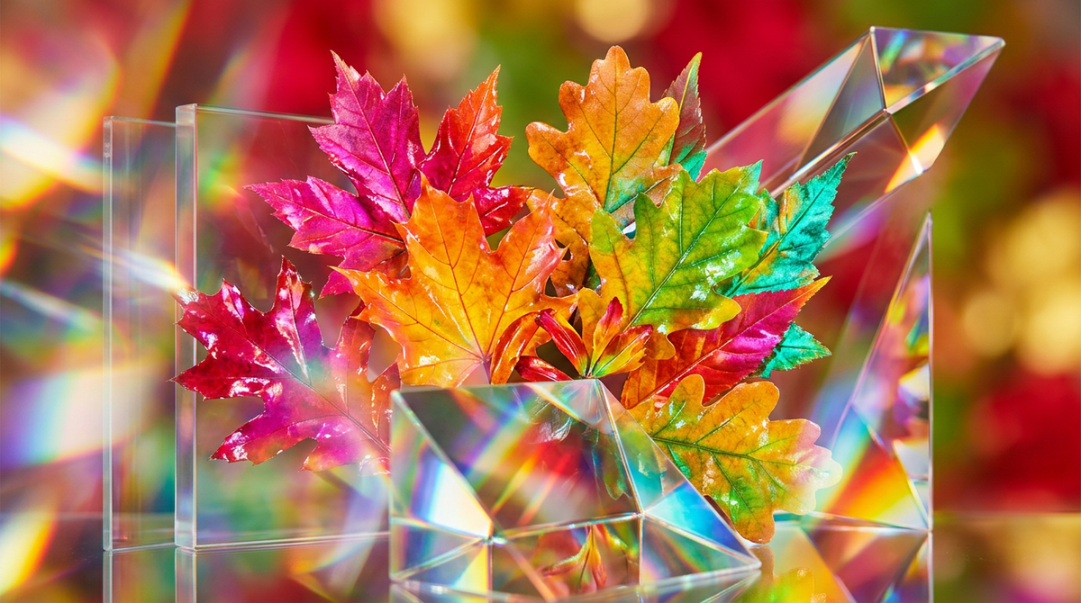 Best Perfumes for Autumn: Cozy Scents for Crisp Days