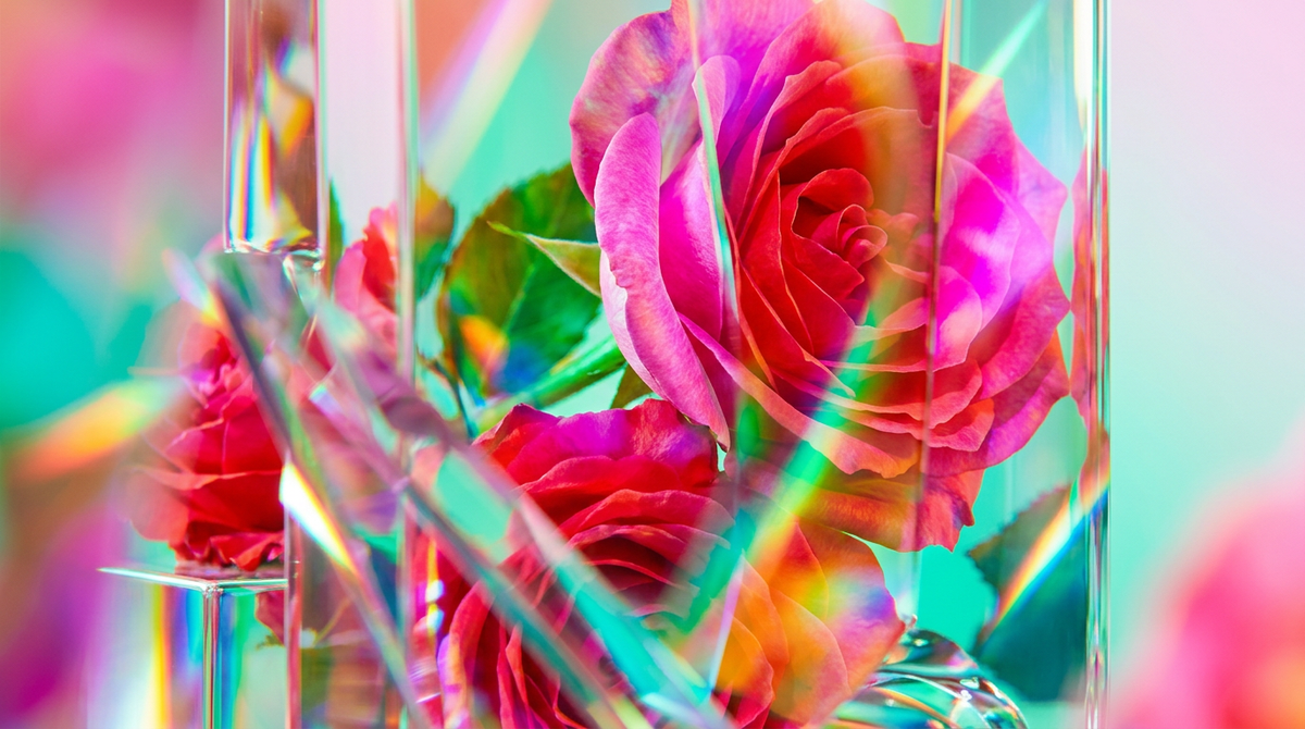 How to Layer Rose Dew