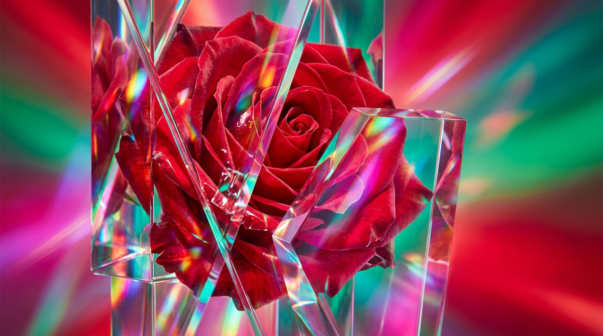 Best Red Rose Perfumes for Valentine's Day