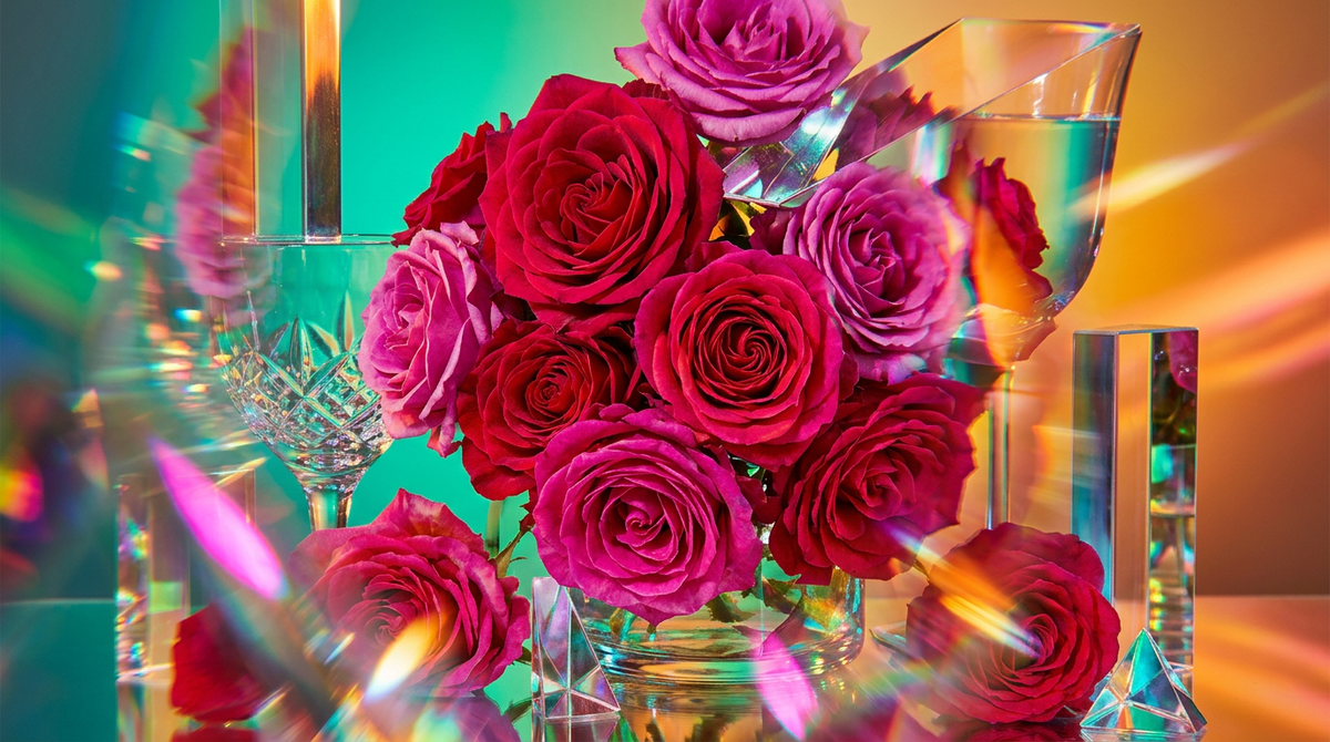 Rose Dew vs. Wild Roses: A Scent Comparison
