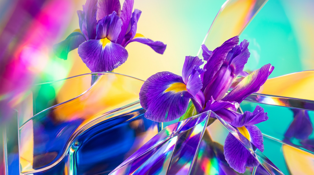 The Complete Guide to Iris Fragrances