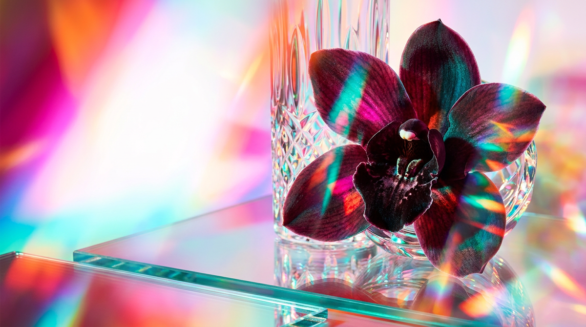 Is Black Orchid Fragrance Good for Date Nights?