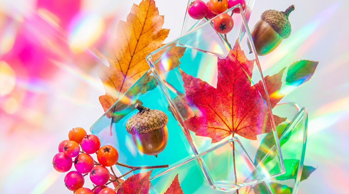 Best Perfumes for Autumn Walks and Harvest Season