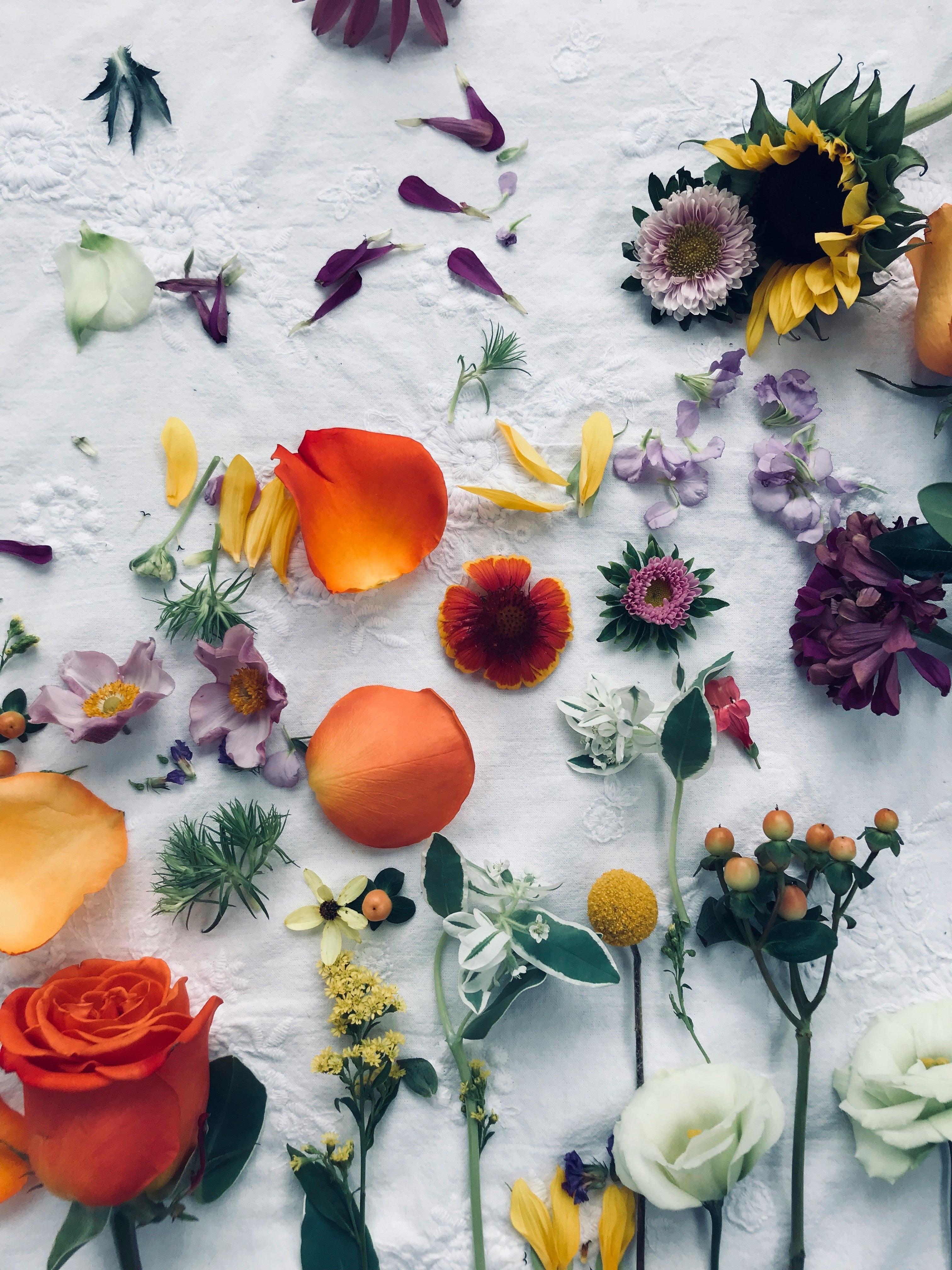 Freshen Up Your Space: Spring Scents for Your Home