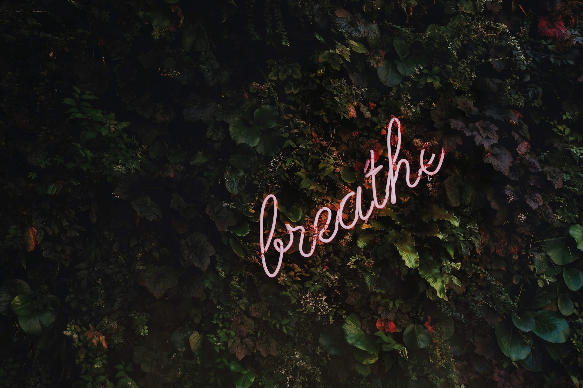 9 Health Benefits of Daily Meditation to Reduce Stress