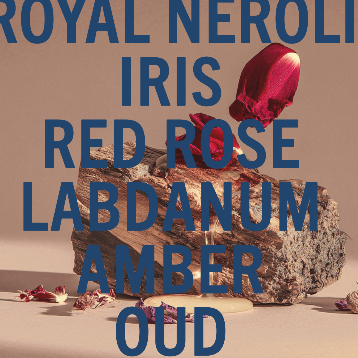 Parfum Amber Oud Ahad Noir 10 ml