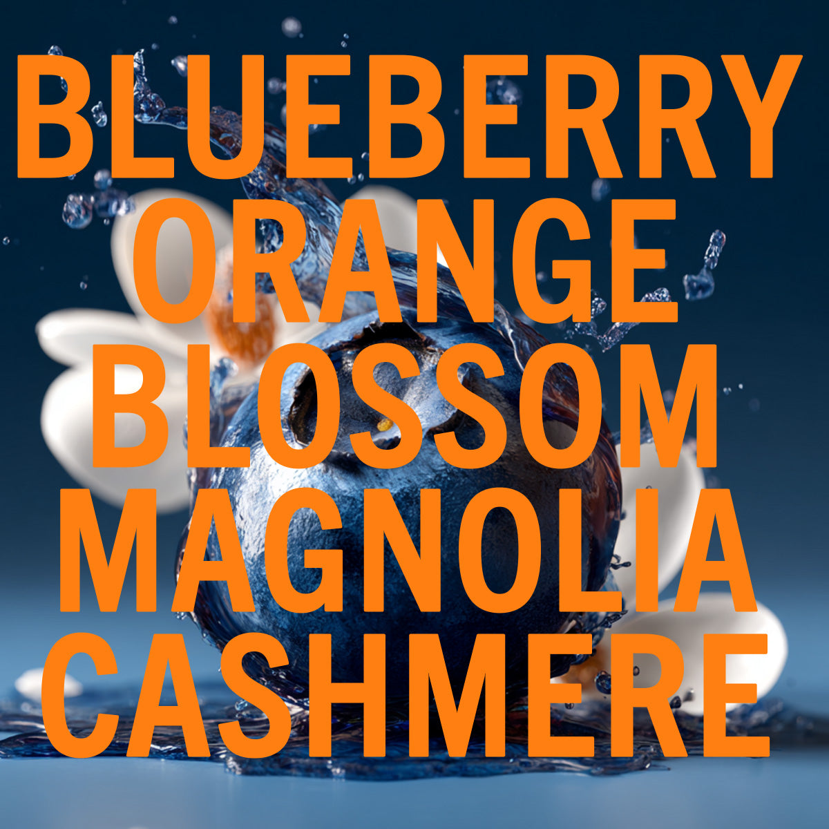 Blueberry Musk Fragrance 10ml
