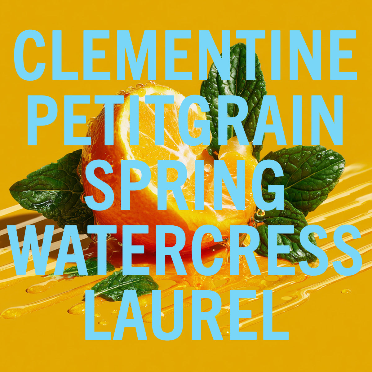 Clementine Fragrance 30ml